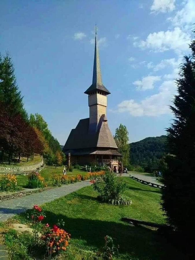 La Casa Alana Hotel Vișeu de Jos Exterior foto